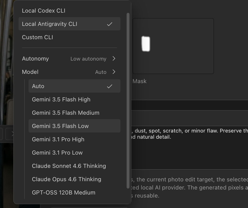 PaintNode model and provider menu