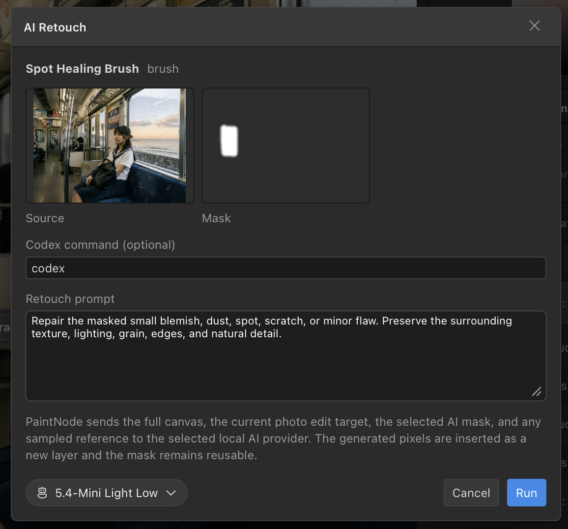 PaintNode prompt panel for generating an image