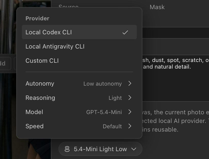 PaintNode AI provider settings